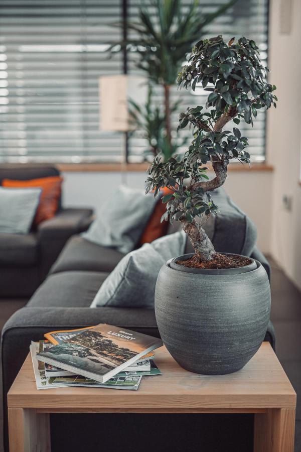 Eco Boutique Hotel Ams Beagle Bled Exteriér fotografie